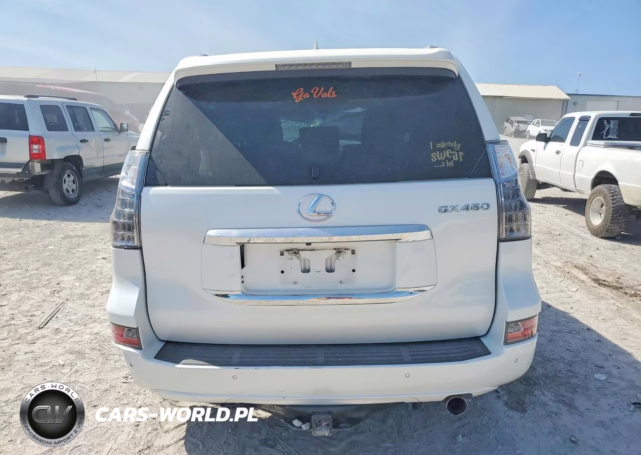 2018 Lexus Gx 460 Premium VIN:JTJJM7FX8J5181534 - 6