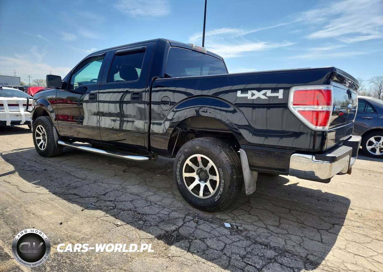 2010 Ford F150 Supercrew VIN:1FTEW1E86AFD55889 - 2
