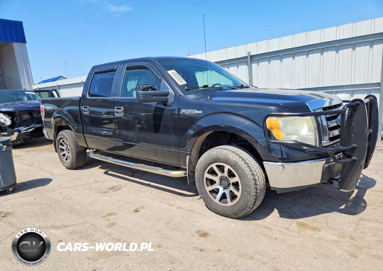2010 Ford F150 Supercrew VIN:1FTEW1E86AFD55889 - 4