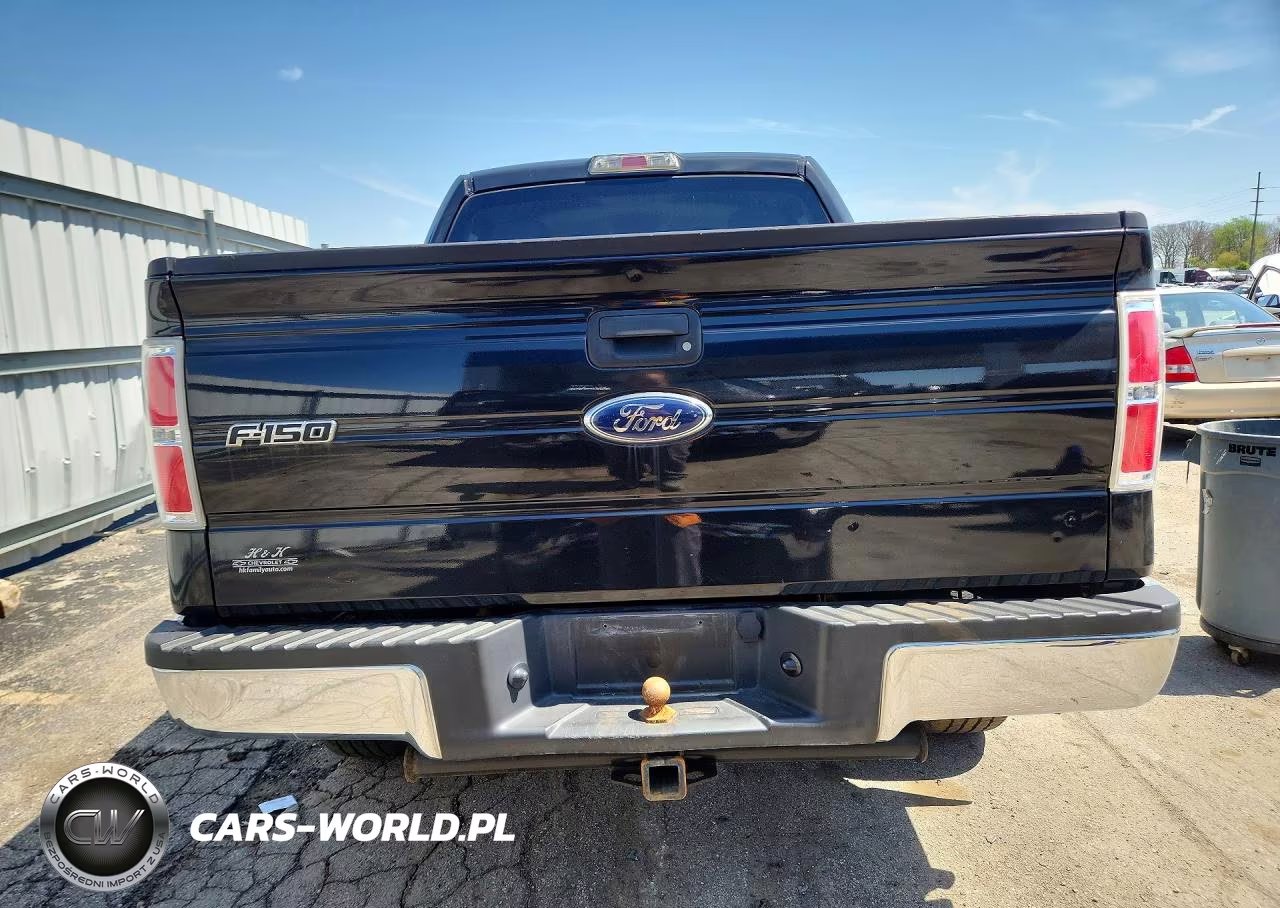 2010 Ford F150 Supercrew VIN:1FTEW1E86AFD55889 - 6