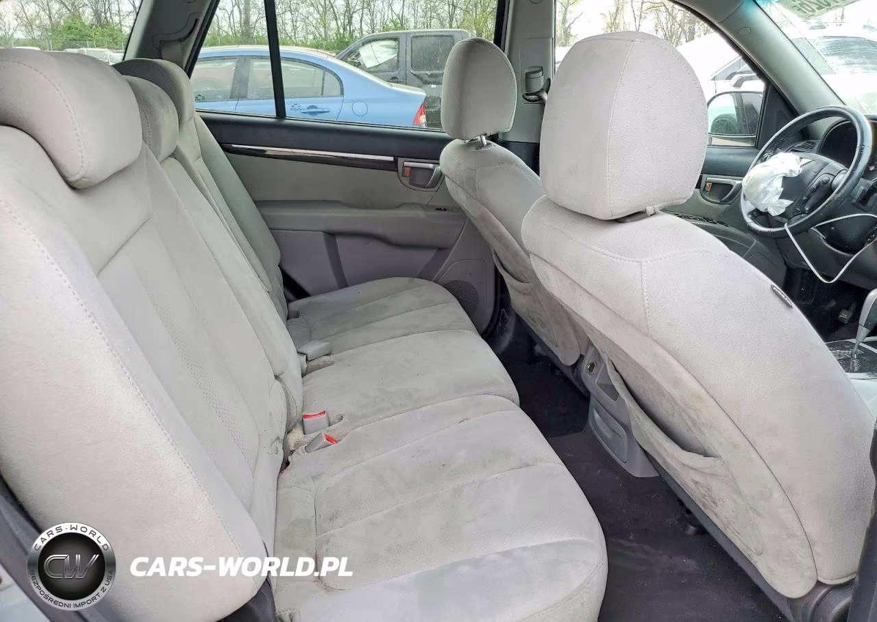2009 Hyundai Santa Fe VIN:5NMSH13E99H239039 - 11