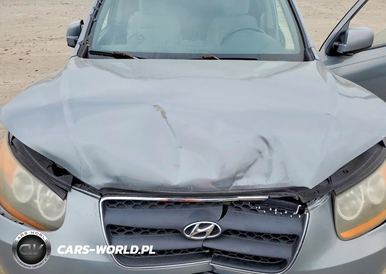 2009 Hyundai Santa Fe VIN:5NMSH13E99H239039 - 12