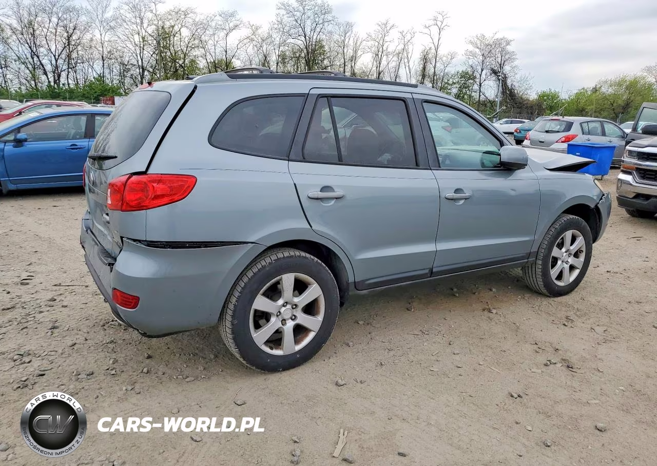 2009 Hyundai Santa Fe VIN:5NMSH13E99H239039 - 3
