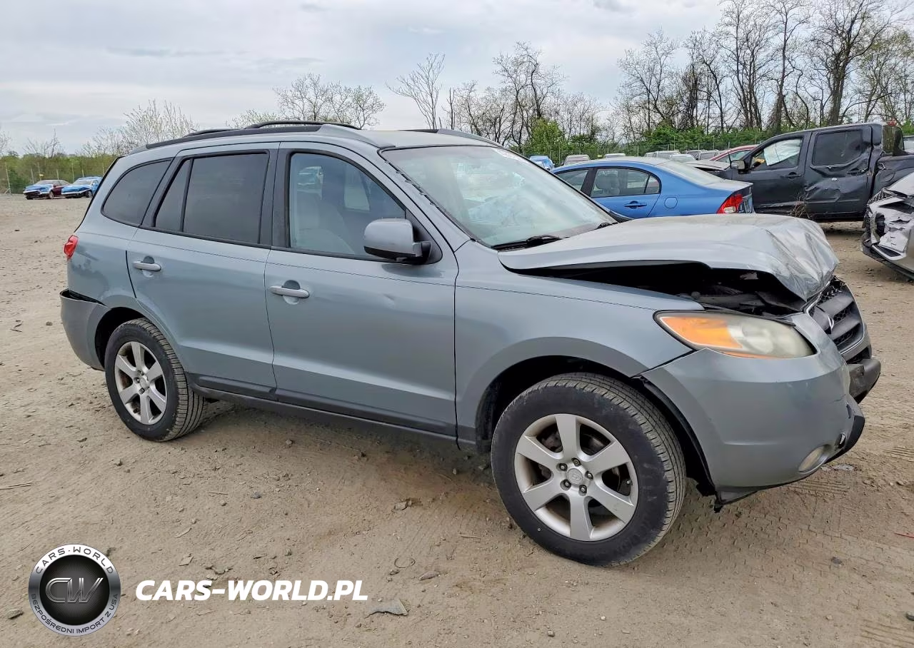 2009 Hyundai Santa Fe VIN:5NMSH13E99H239039 - 4