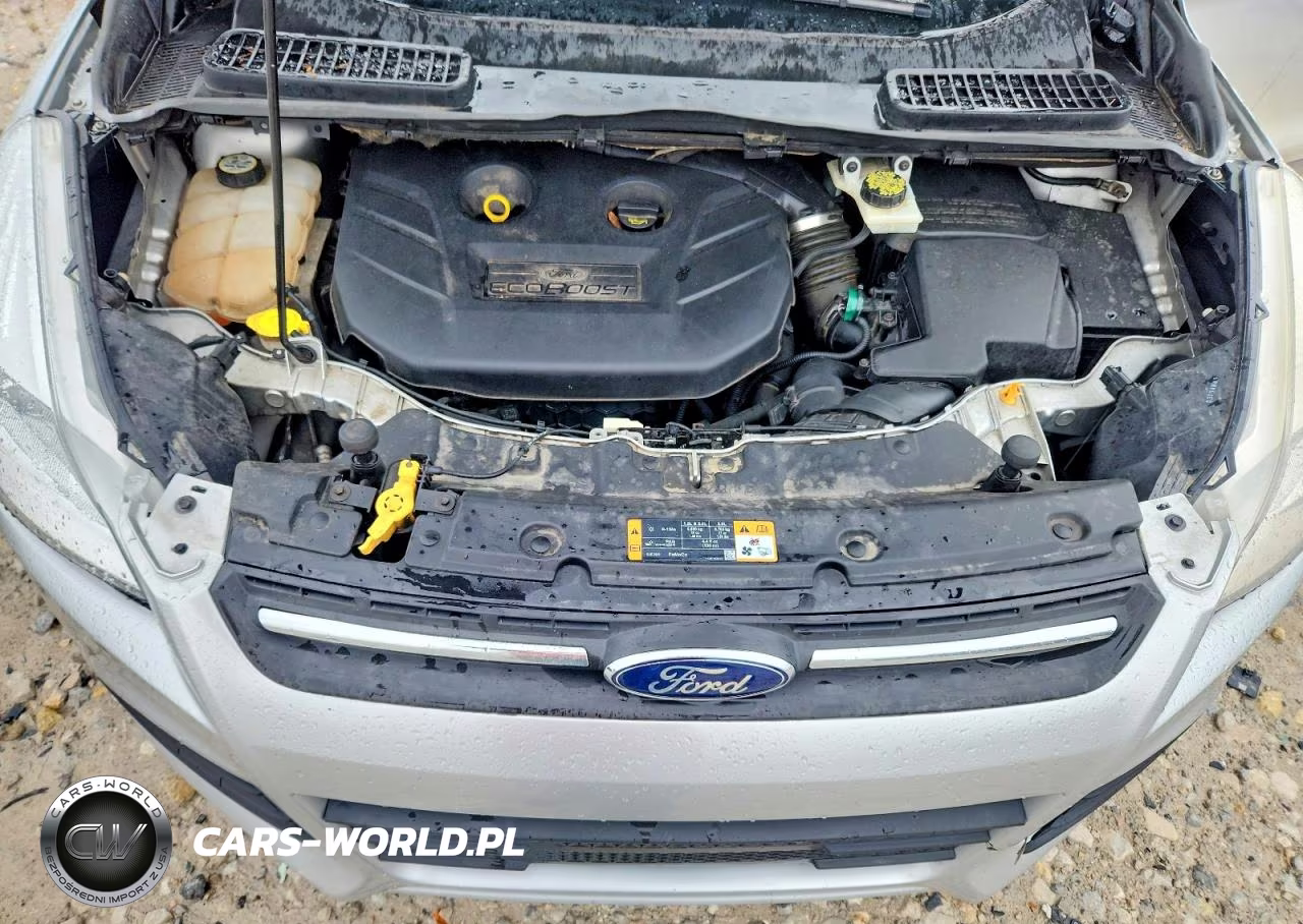 2013 Ford Escape Se VIN:1FMCU9G98DUC04307 - 11