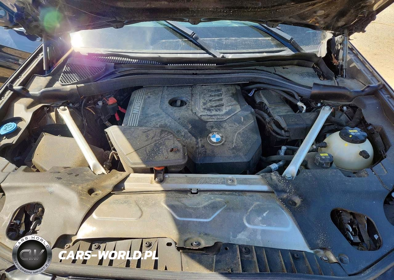 2023 BMW X4 xDrive30I VIN:5UX33DT06P9P69470 - 12