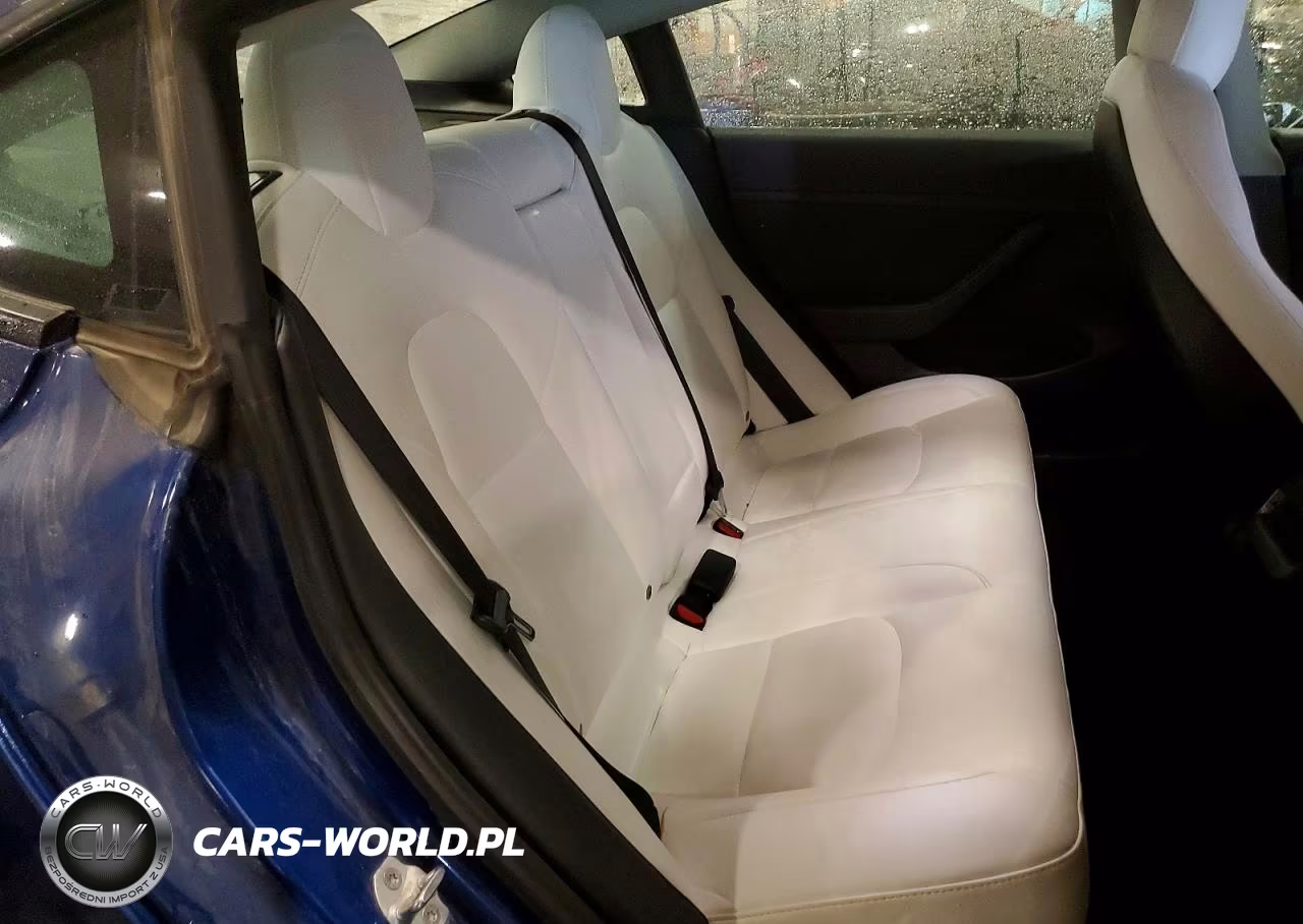 2021 Tesla Model 3 VIN:5YJ3E1EC7MF049209 - 10
