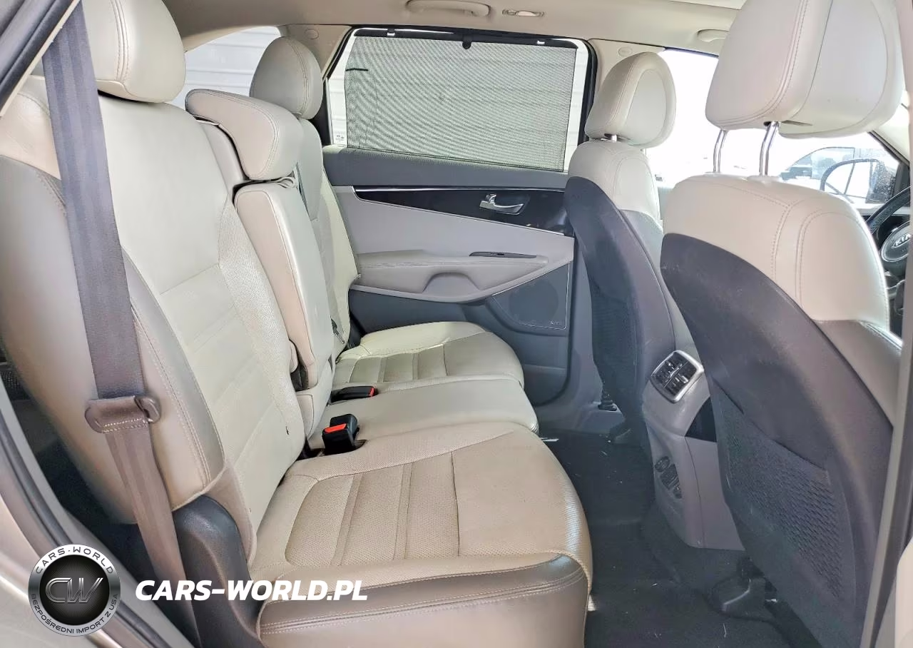 2016 Kia Sorento Sx V6 VIN:5XYPK4A55GG002017 - 10