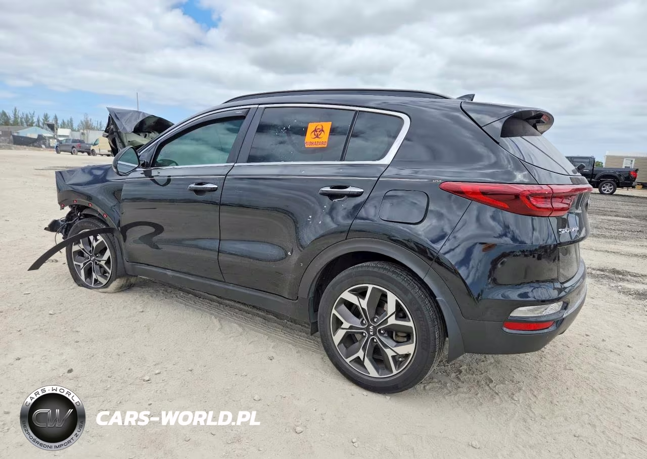 2022 Kia Sportage Ex VIN:KNDPN3AC5N7000665 - 2