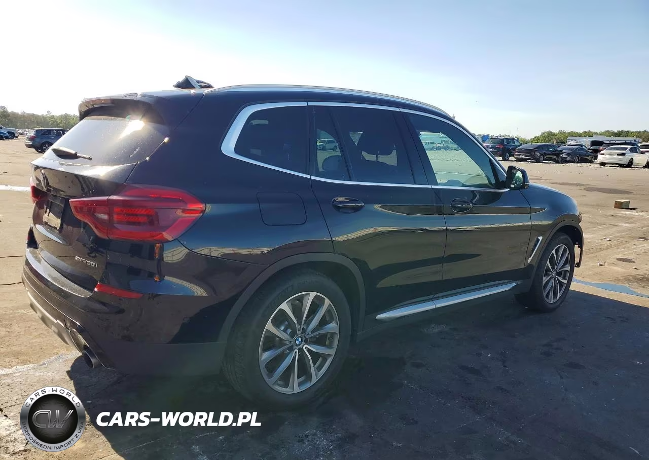 2019 BMW X3 Sdrive30I VIN:5UXTR7C51KLR48510 - 3