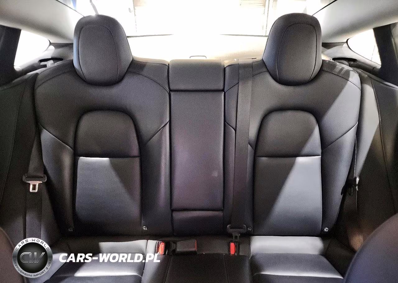 2023 Tesla Model 3 VIN:5YJ3E1EAXPF550954 - 10