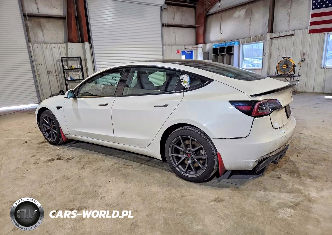 2023 Tesla Model 3 VIN:5YJ3E1EAXPF550954 - 2