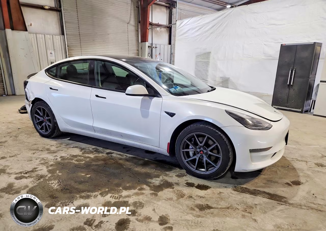 2023 Tesla Model 3 VIN:5YJ3E1EAXPF550954 - 4