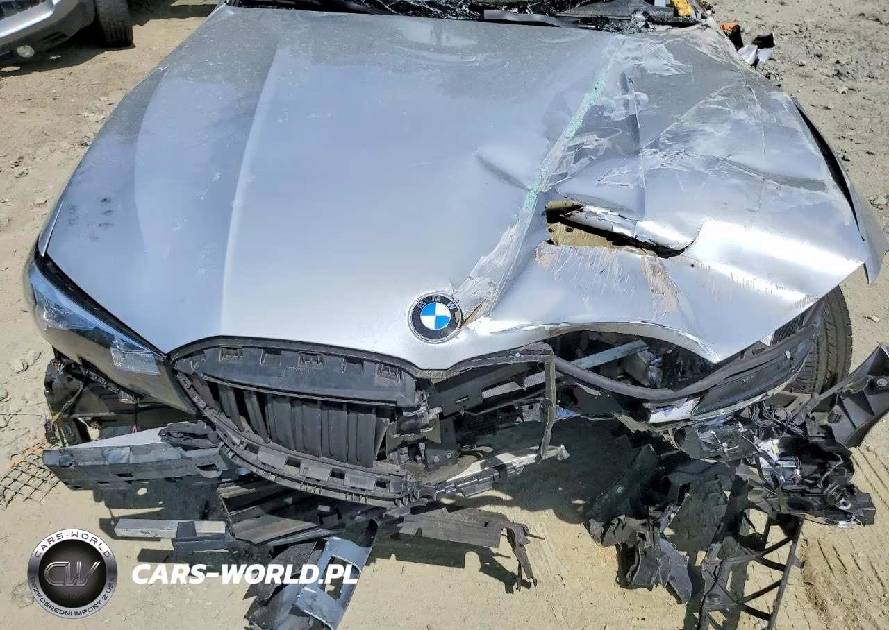 2019 BMW 330Xi VIN:WBA5R7C59KFH25009 - 11