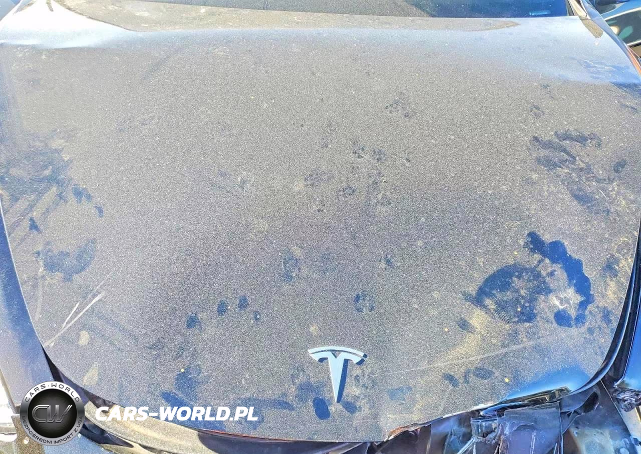 2019 Tesla Model 3 VIN:5YJ3E1EA1KF193284 - 11