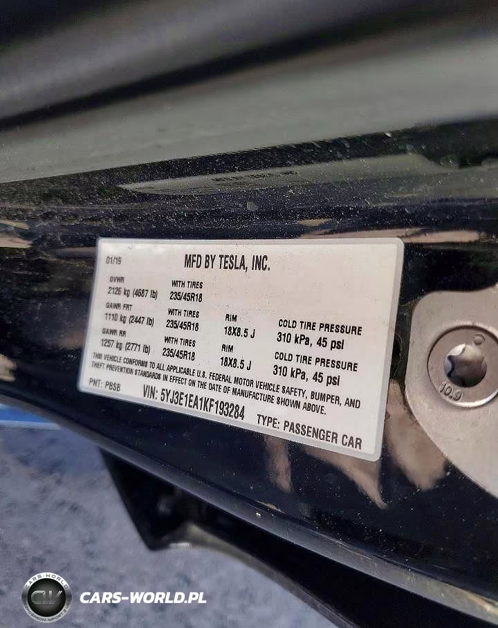 2019 Tesla Model 3 VIN:5YJ3E1EA1KF193284 - 12
