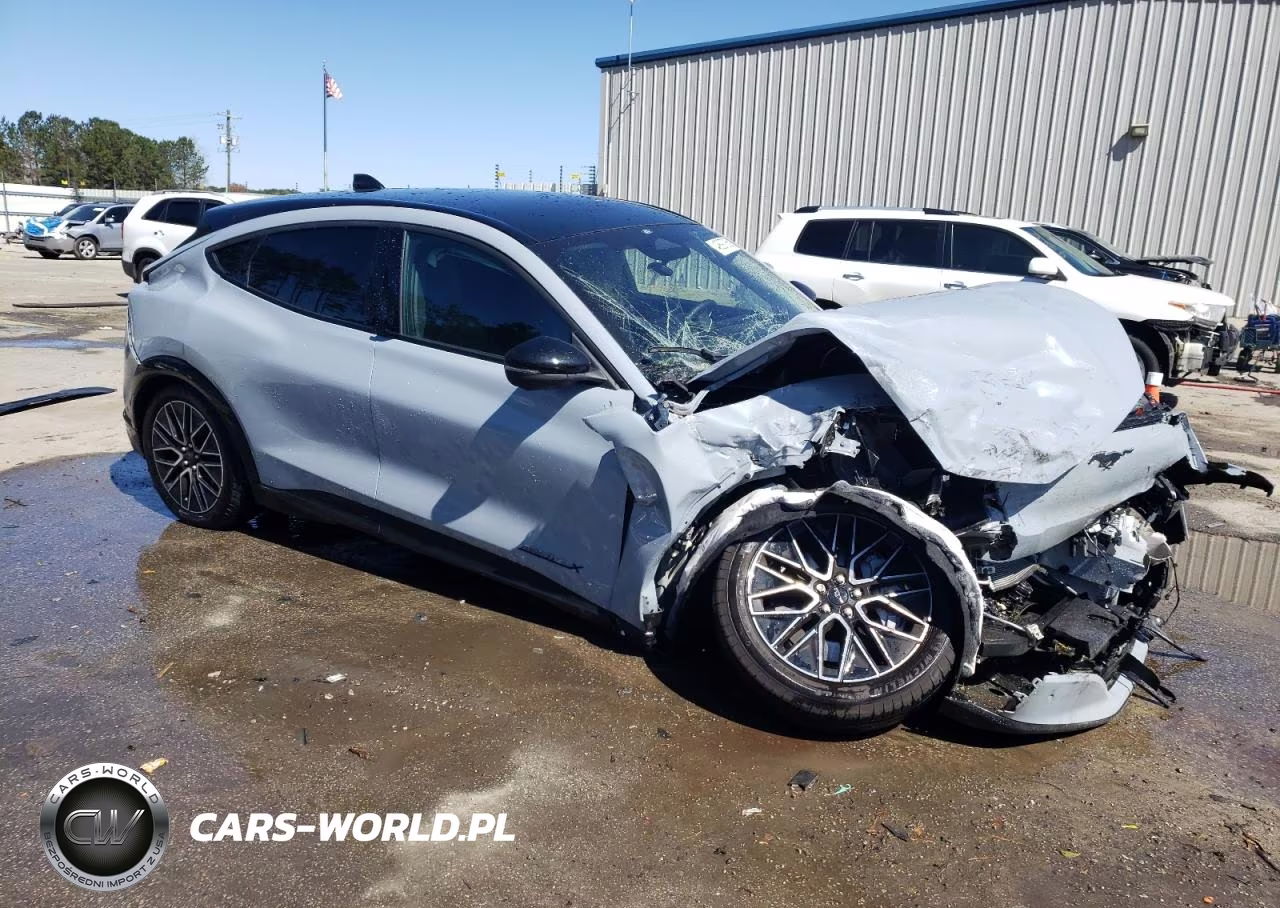 2024 Ford Mustang Mach-E Premium VIN:3FMTK3R70RMA31568 - 4