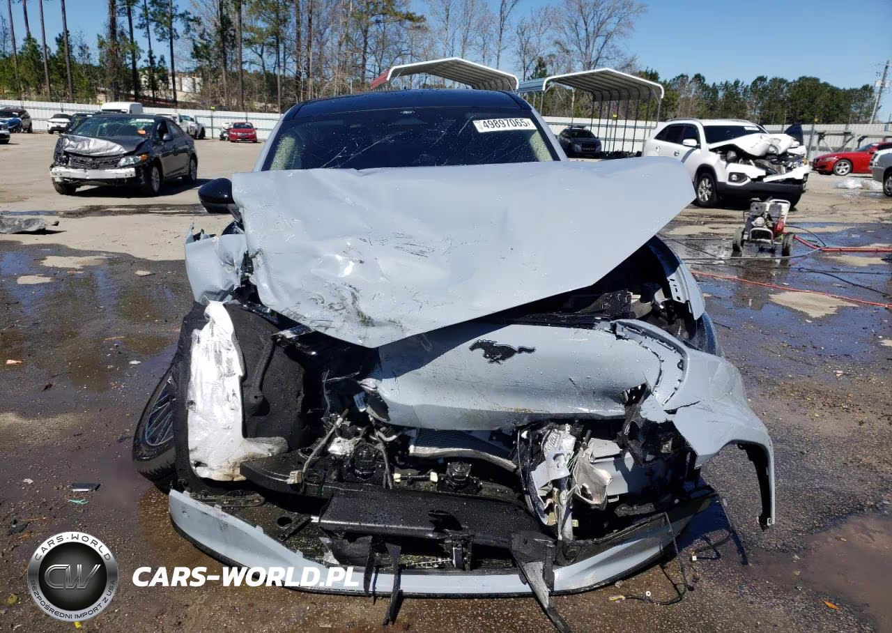 2024 Ford Mustang Mach-E Premium VIN:3FMTK3R70RMA31568 - 5
