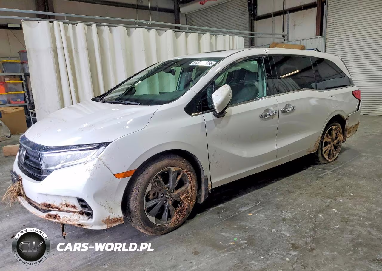 2024 Honda Odyssey Elite