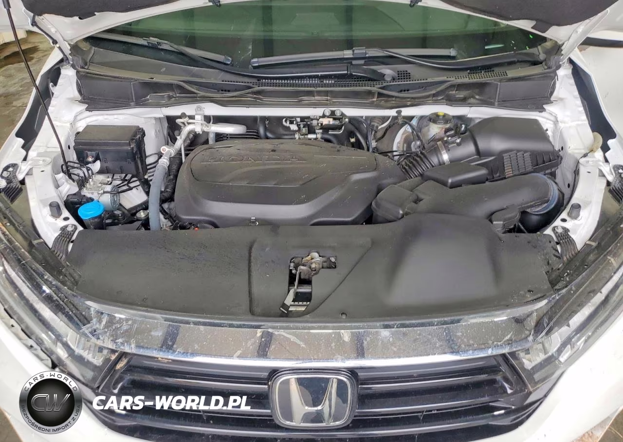 2024 Honda Odyssey Elite VIN:5FNRL6H90RB025872 - 12