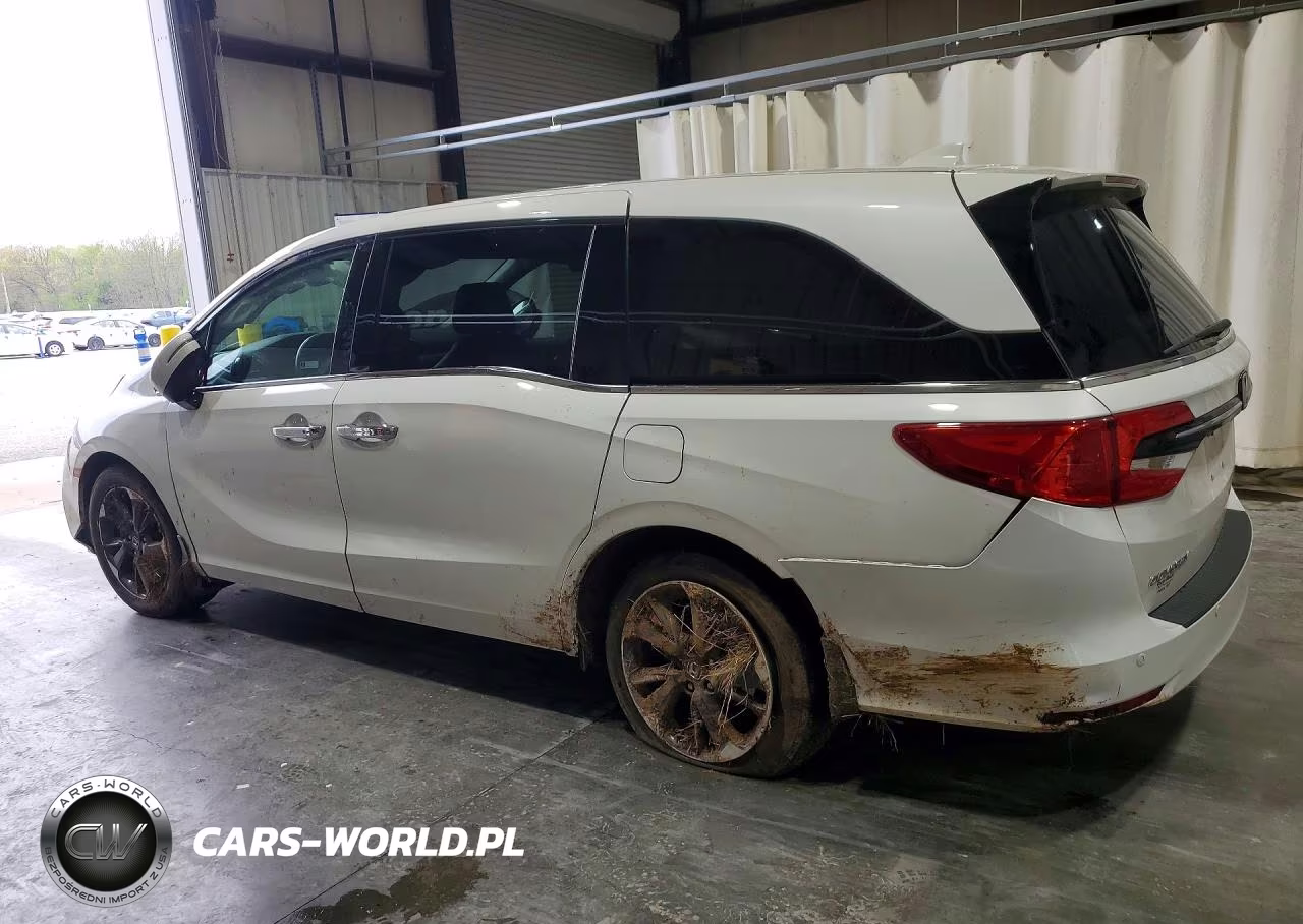 2024 Honda Odyssey Elite VIN:5FNRL6H90RB025872 - 2