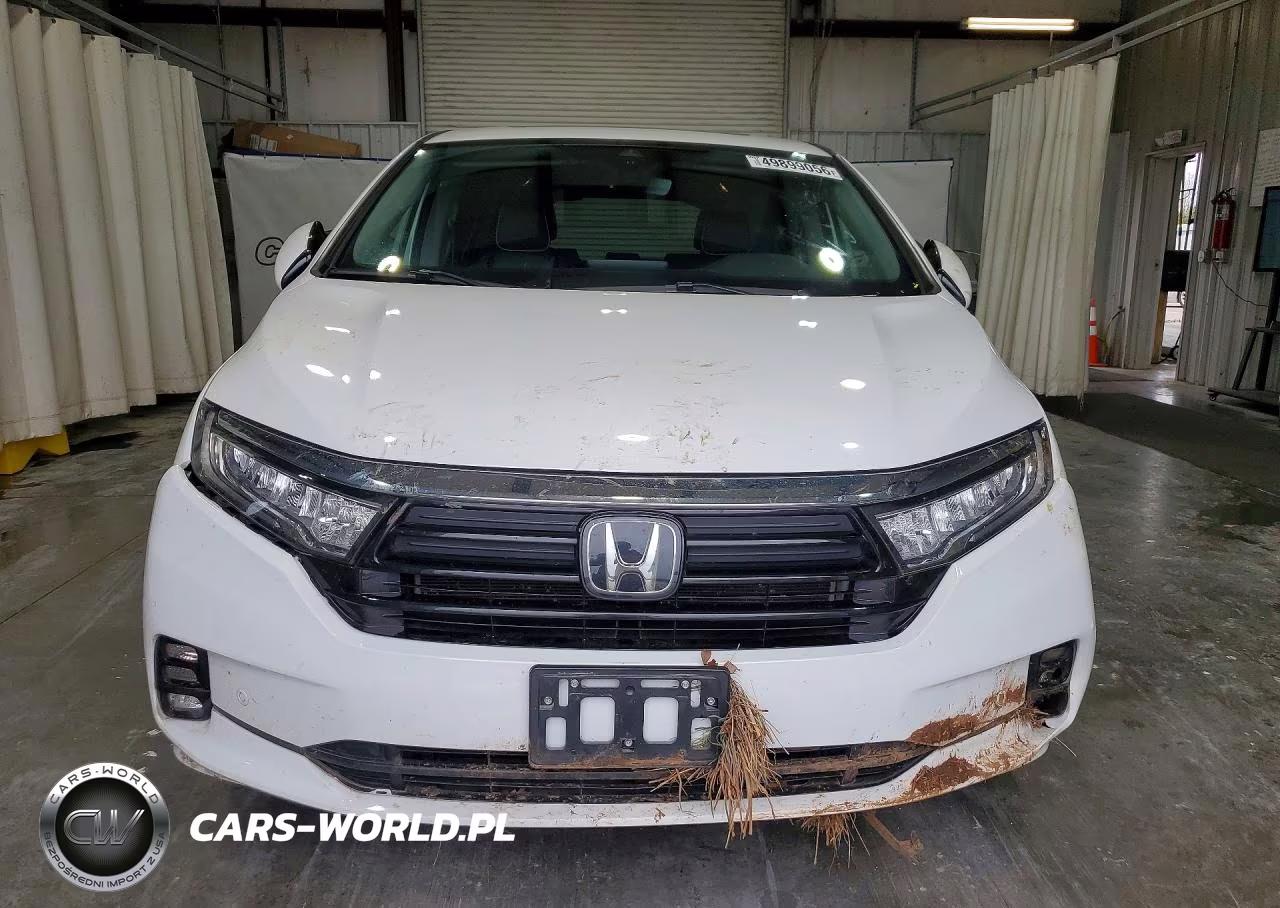 2024 Honda Odyssey Elite VIN:5FNRL6H90RB025872 - 5