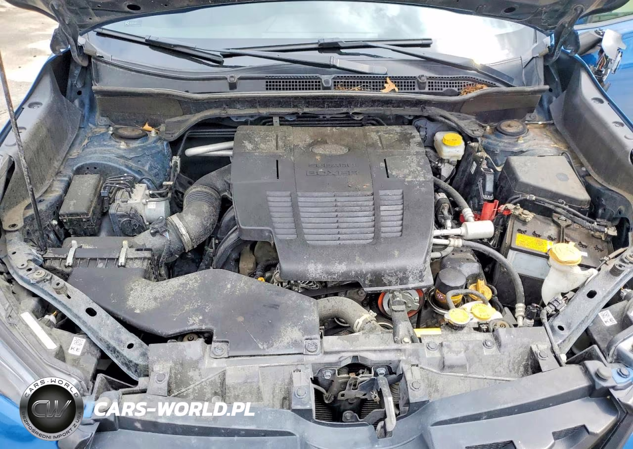 2023 Subaru Forester Wilderness VIN:JF2SKAMC3PH423729 - 11