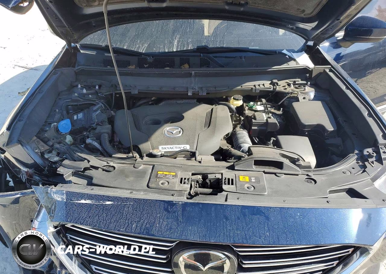 2020 Mazda Cx-9 Grand Touring VIN:JM3TCADY9L0422869 - 12