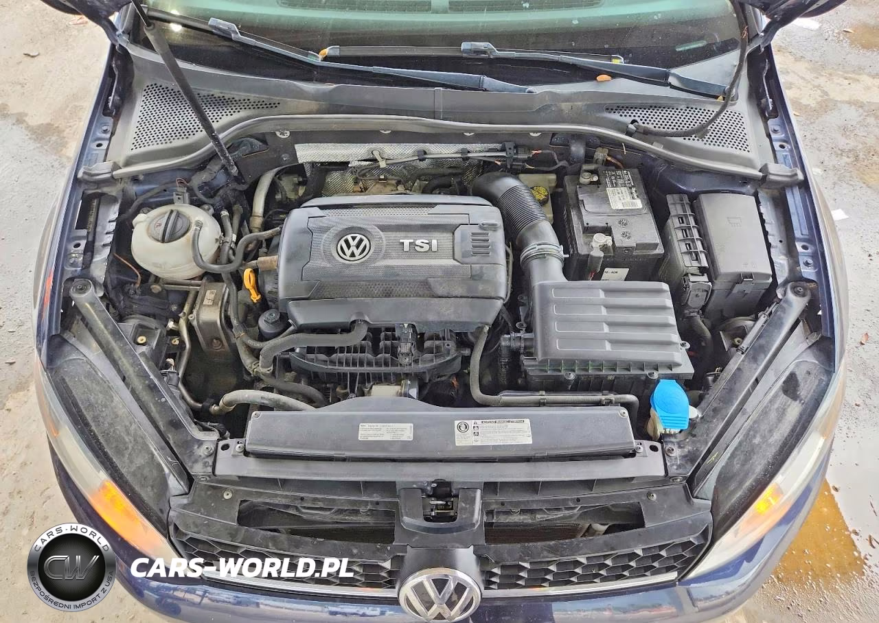 2017 Volkswagen Golf Alltrack S VIN:3VWH17AU1HM541512 - 11