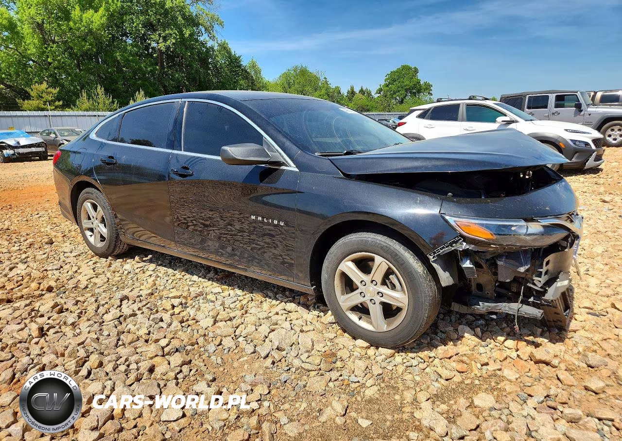 2019 Chevrolet Malibu Ls VIN:1G1ZB5ST3KF216519 - 4