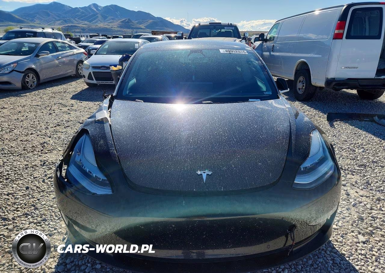 2019 Tesla Model 3 VIN:5YJ3E1EB3KF392944 - 5