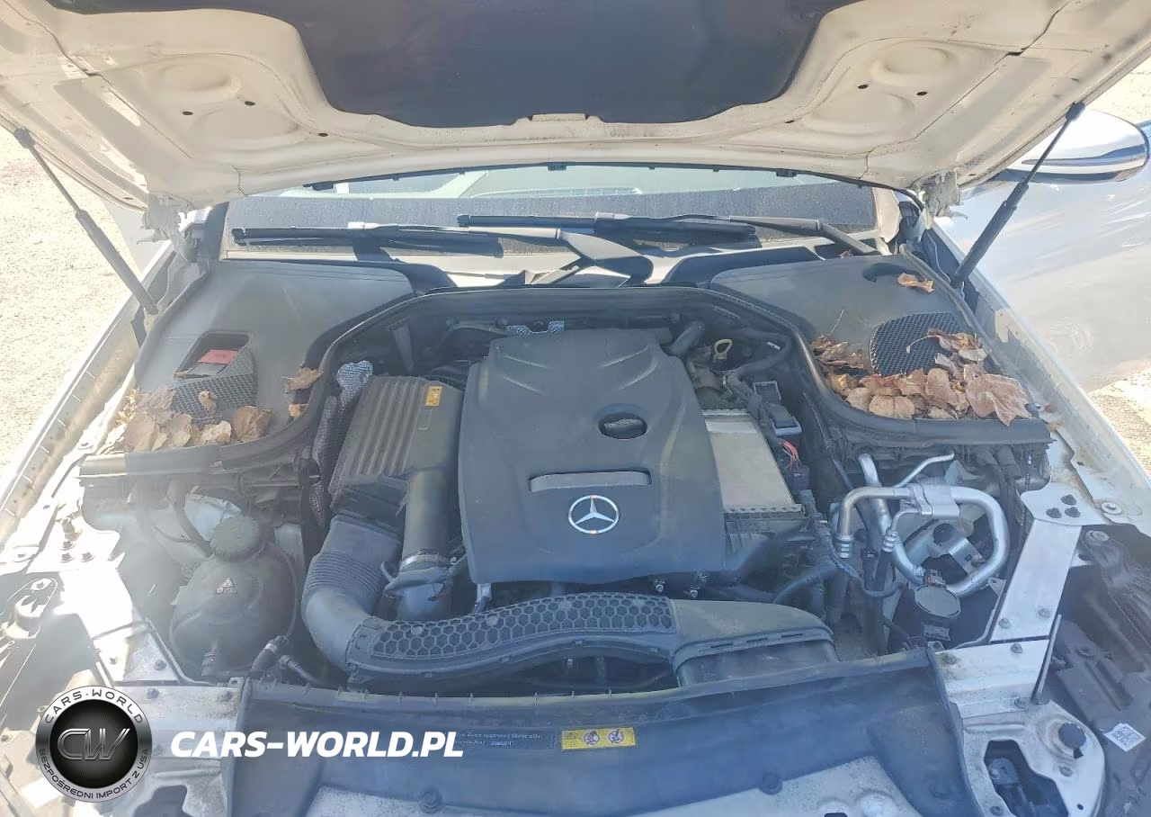 2018 Mercedes-Benz E 300 VIN:WDDZF4JB8JA443219 - 11