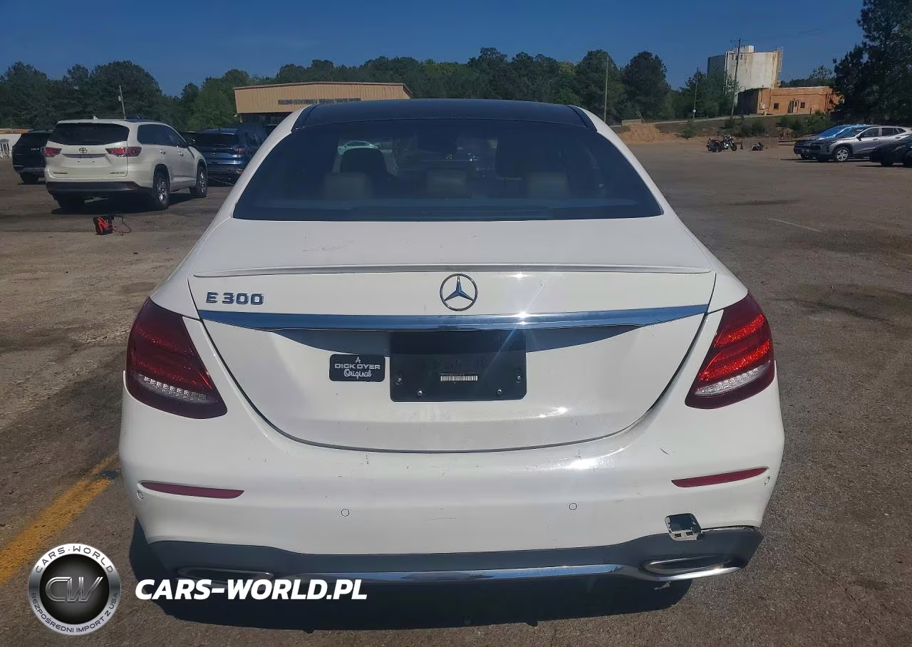 2018 Mercedes-Benz E 300 VIN:WDDZF4JB8JA443219 - 6
