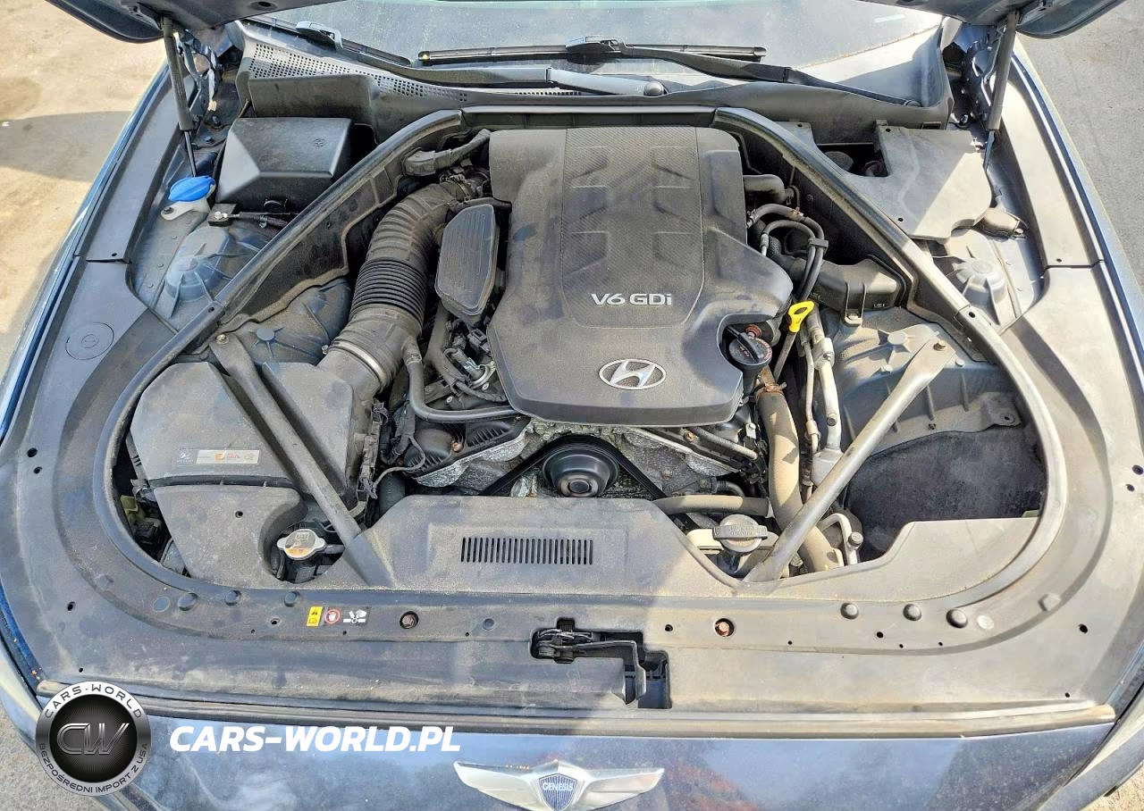 2015 Hyundai Genesis 3.8L VIN:KMHGN4JE8FU060087 - 11