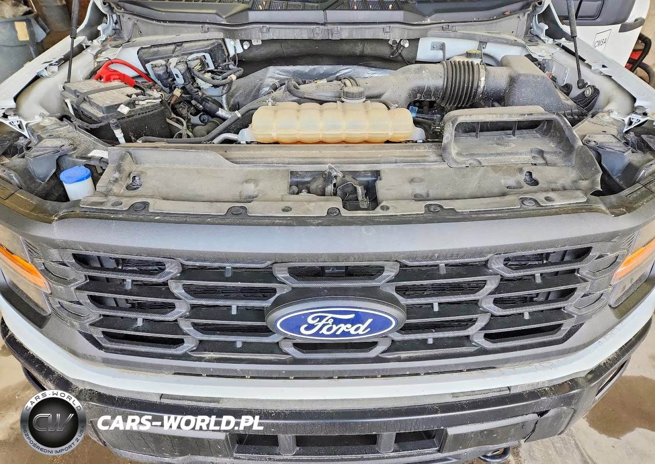 2024 Ford F150 Xl VIN:1FTEX1LP9RKD48249 - 11