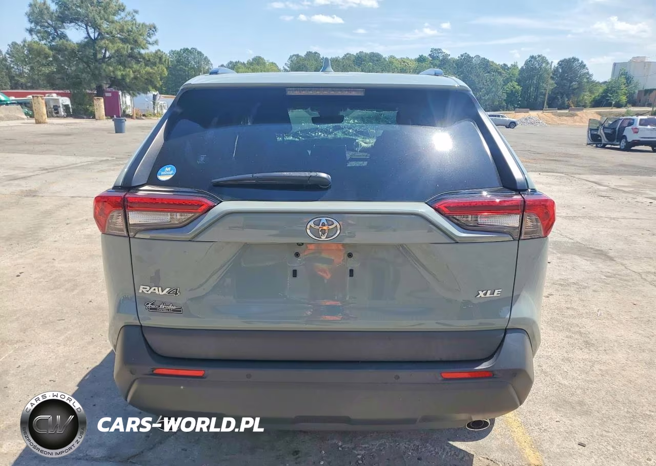2019 Toyota Rav4 Xle VIN:JTMW1RFV3KD002030 - 6
