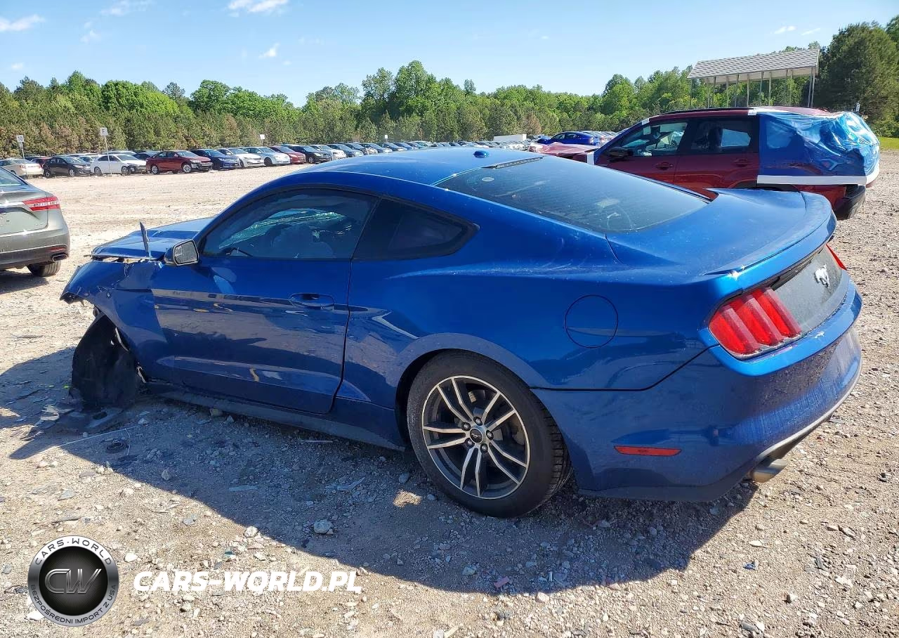 2017 Ford Mustang VIN:1FA6P8TH4H5257317 - 2