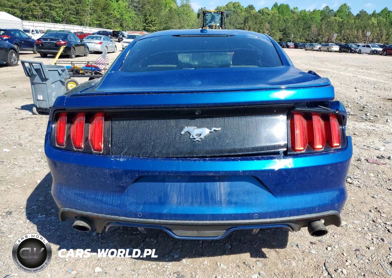 2017 Ford Mustang VIN:1FA6P8TH4H5257317 - 6