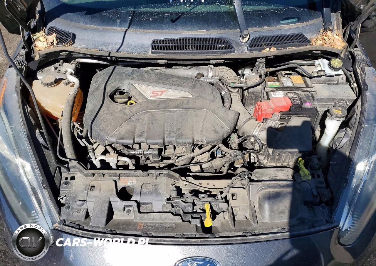 2019 Ford Fiesta St VIN:3FADP4GX7KM132444 - 11