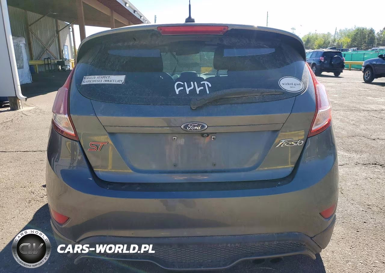2019 Ford Fiesta St VIN:3FADP4GX7KM132444 - 6