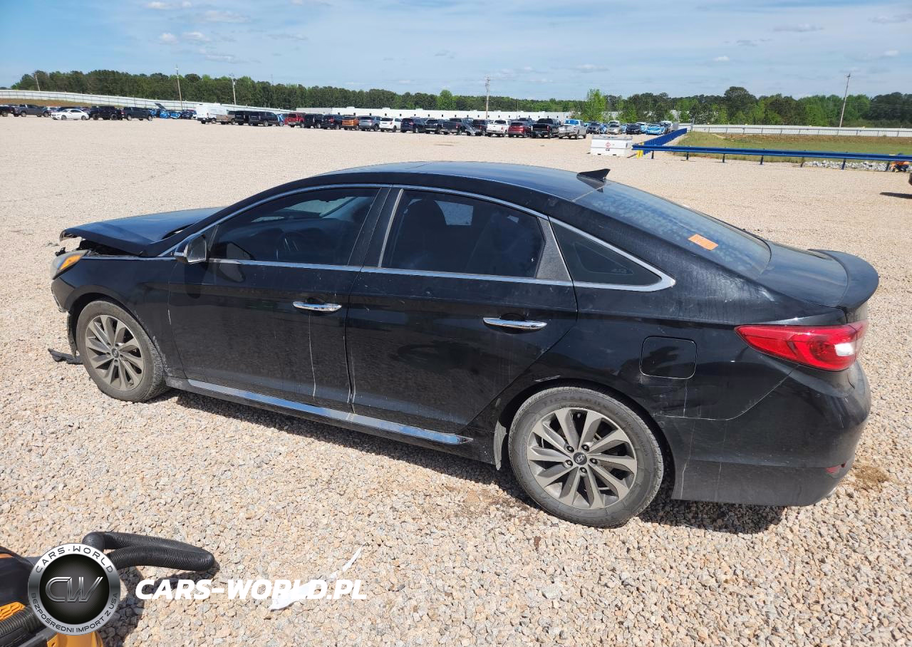 2016 Hyundai Sonata Sport VIN:5NPE34AF2GH363596 - 2