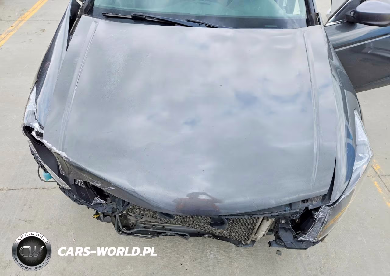 2011 Honda Accord Lxp VIN:1HGCP2F41BA089039 - 11