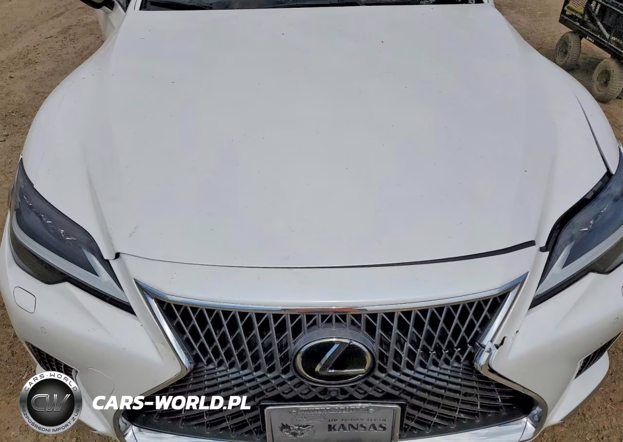 2022 Lexus Ls 500 VIN:JTHG5LGF4N5010874 - 11
