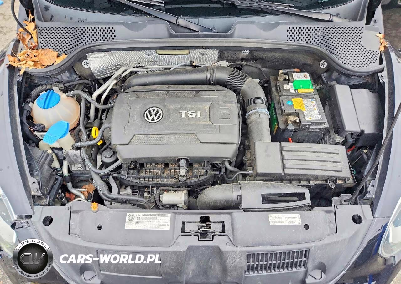 2013 Volkswagen Beetle Turbo VIN:3VWVS7AT1DM691198 - 11