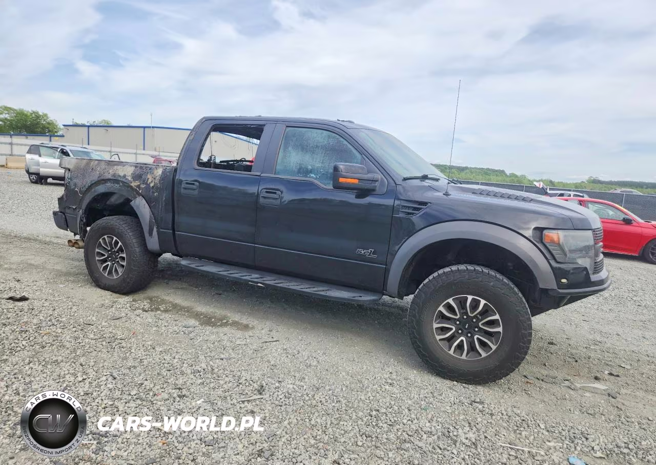 2014 Ford F150 Svt Raptor VIN:1FTFW1R60EFA66784 - 4
