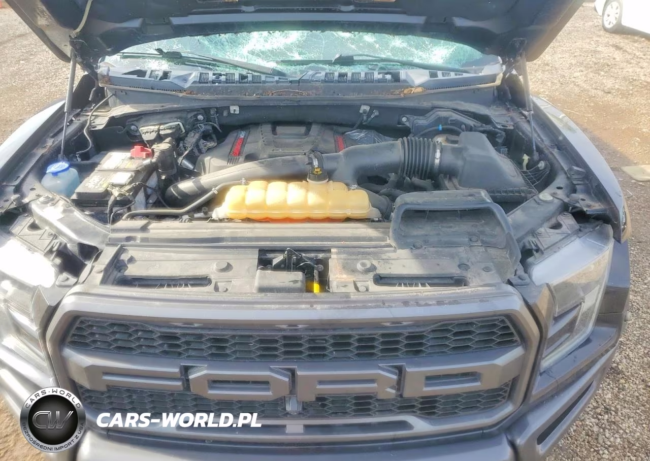 2019 Ford F150 Raptor VIN:1FTFW1RG3KFA62944 - 11