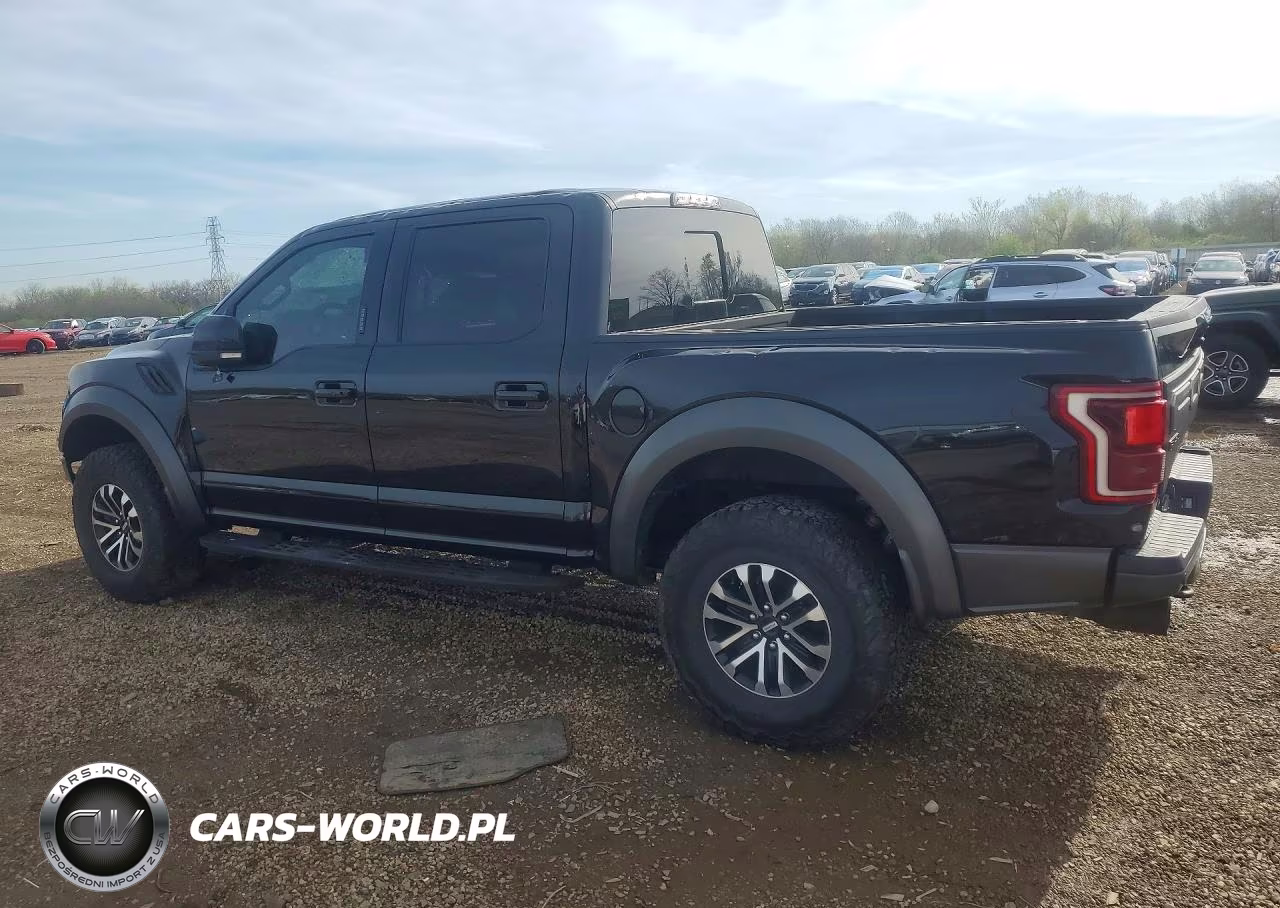 2019 Ford F150 Raptor VIN:1FTFW1RG3KFA62944 - 2