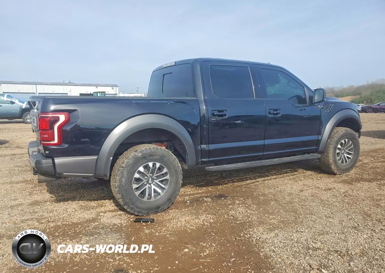 2019 Ford F150 Raptor VIN:1FTFW1RG3KFA62944 - 3
