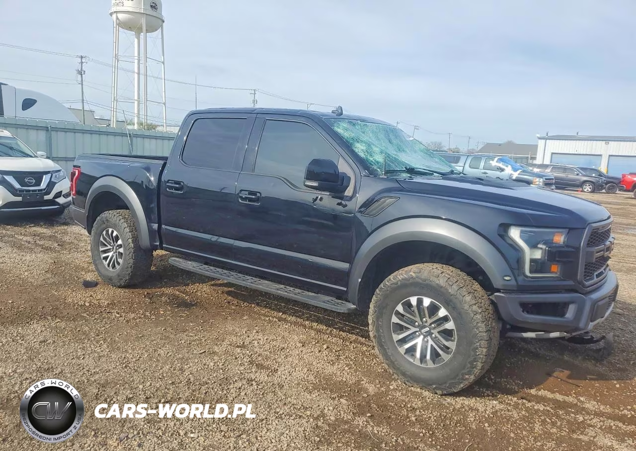 2019 Ford F150 Raptor VIN:1FTFW1RG3KFA62944 - 4