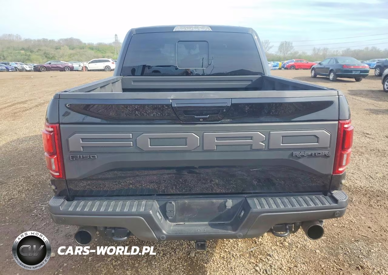 2019 Ford F150 Raptor VIN:1FTFW1RG3KFA62944 - 6